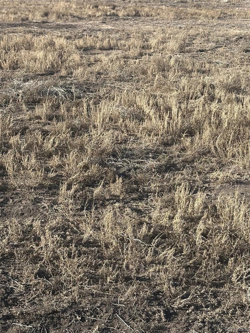 LOT 7 San Luis Valley Ranches, Blanca, CO 81123