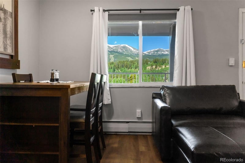 301 N French St #305, Breckenridge, CO 80424