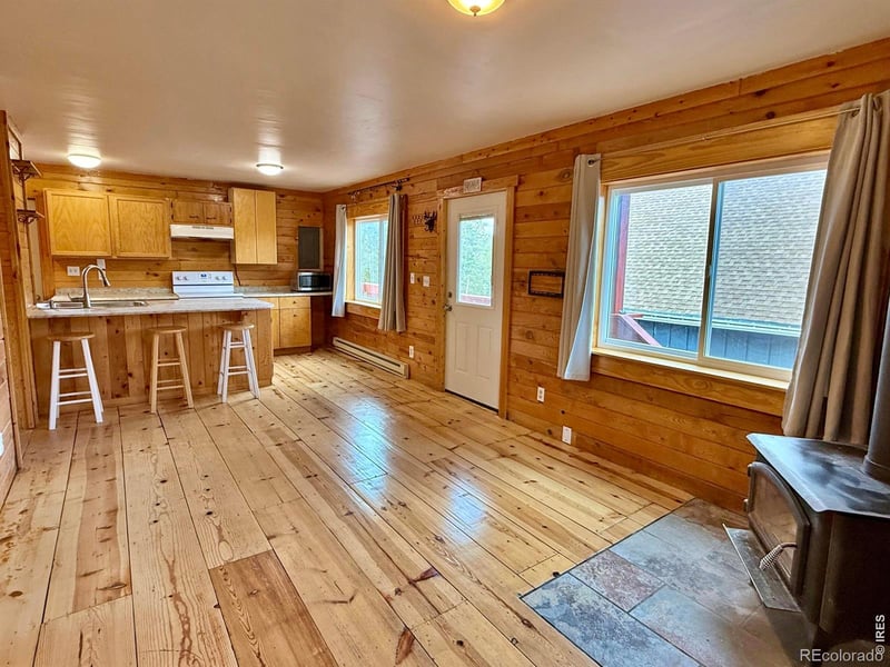 393 Pine Cone Dr, Ward, CO 80481