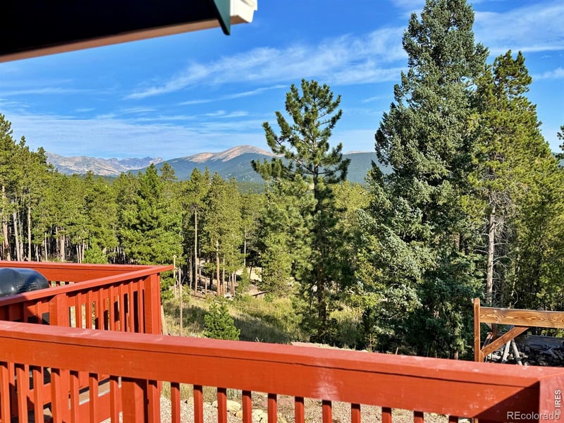393 Pine Cone Dr, Ward, CO 80481