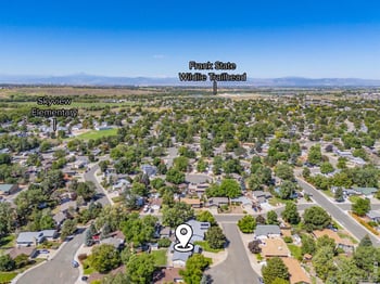 619 Blue Mountain Ct, Windsor, CO 80550