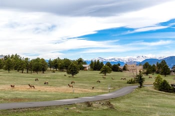 1992 Columbine Ct, Golden, CO 80401