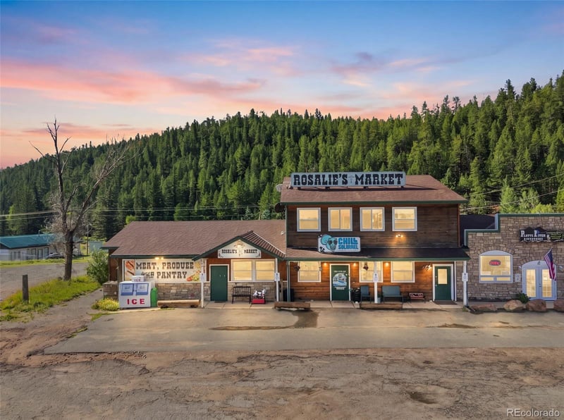 49 County Road 68, Bailey, CO 80421