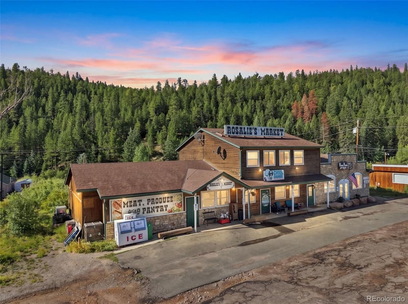 49 County Road 68, Bailey, CO 80421