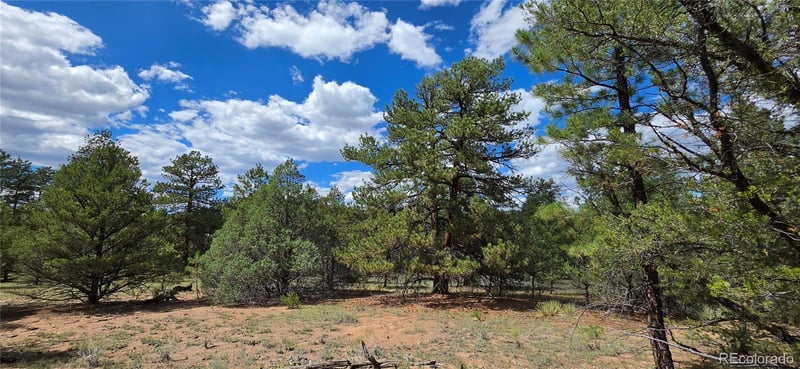 638 Keith Ln, Cotopaxi, CO 81223