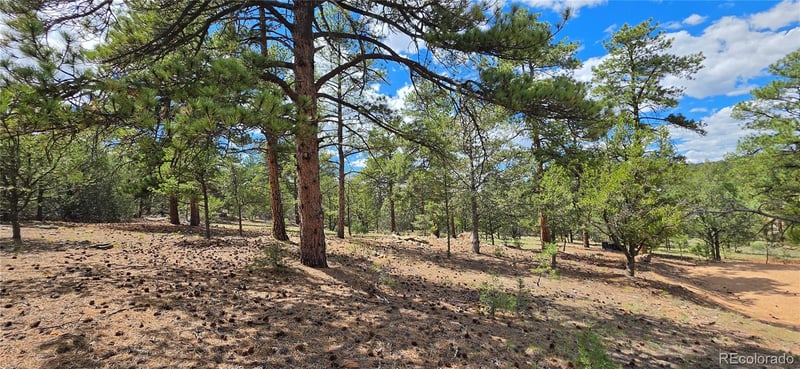 638 Keith Ln, Cotopaxi, CO 81223