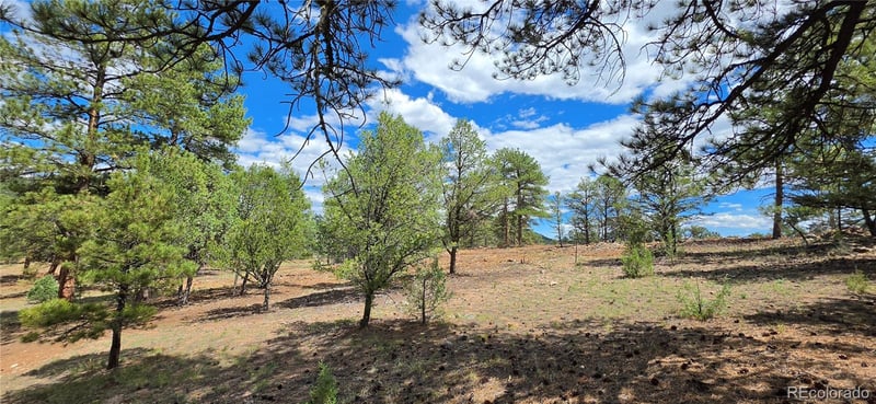 638 Keith Ln, Cotopaxi, CO 81223