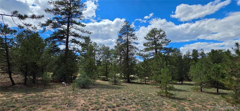 638 Keith Ln, Cotopaxi, CO 81223