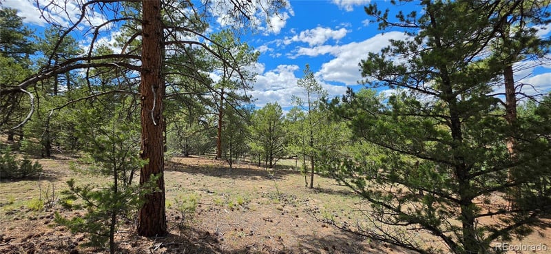 638 Keith Ln, Cotopaxi, CO 81223