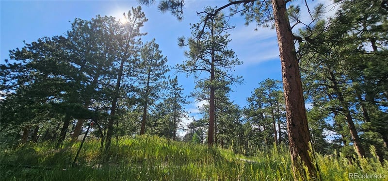 27903 Pine Dr, Evergreen, CO 80439