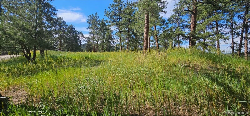 27903 Pine Dr, Evergreen, CO 80439
