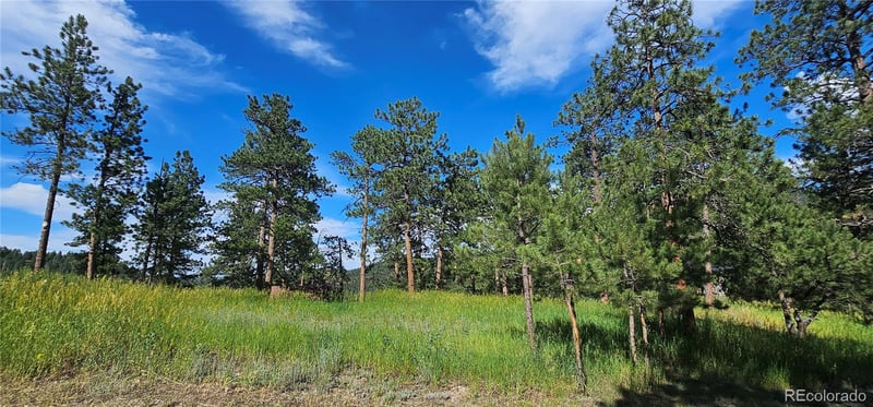27903 Pine Dr, Evergreen, CO 80439