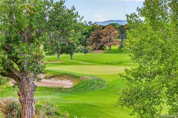 6414 Silver Mesa Dr #E, Highlands Ranch, CO 80130
