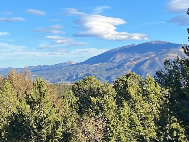 14947 Granite Pw, Salida, CO 81201