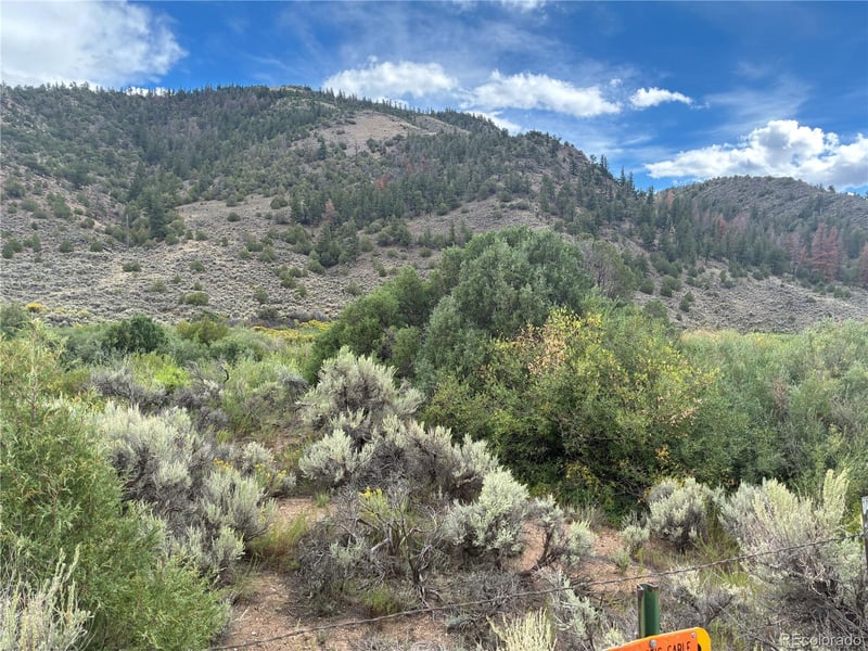 LOT 114 Lautenberg Dr, Fort Garland, CO 81133