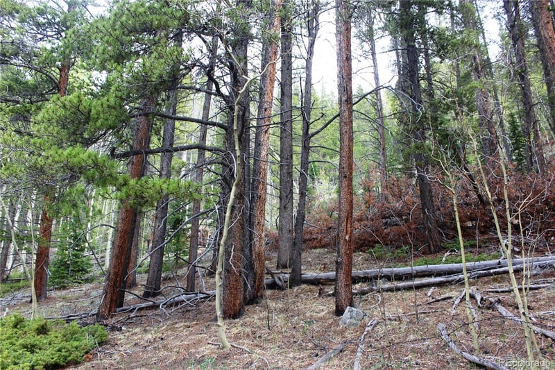 01 Broomfeild Gulch Rd Lot 9527, Black Hawk, CO 80422