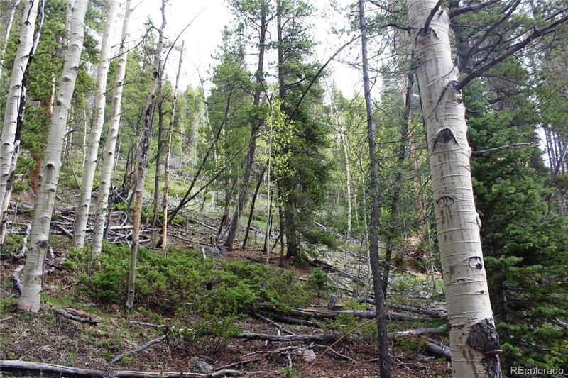01 Broomfeild Gulch Rd Lot 9527, Black Hawk, CO 80422