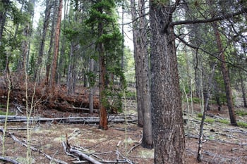 01 Broomfeild Gulch Rd Lot 9527, Black Hawk, CO 80422