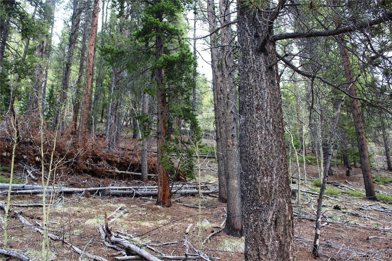 01 Broomfeild Gulch Rd Lot 9527, Black Hawk, CO 80422