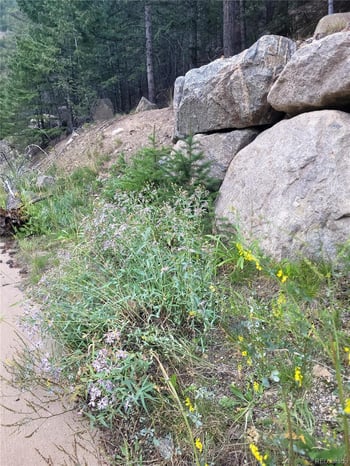 00 Guanella Pass Rd Block: I Lot: 3 AND:- Lot: 4 & VAC ROSE ST & LOTS 5-8, Georgetown, CO 80444