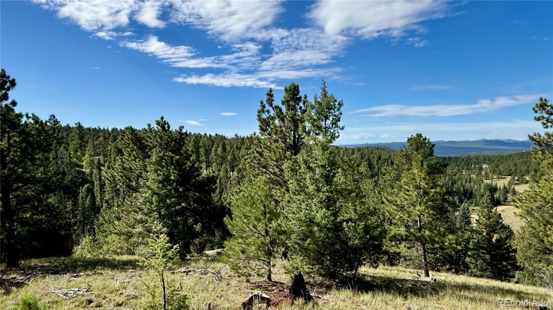 196 Beaver Creek Cir, Florissant, CO 80816