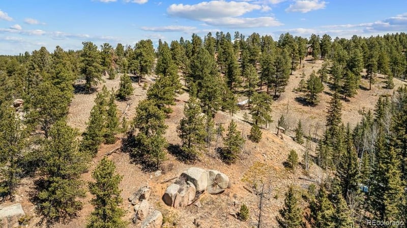 196 Beaver Creek Cir, Florissant, CO 80816