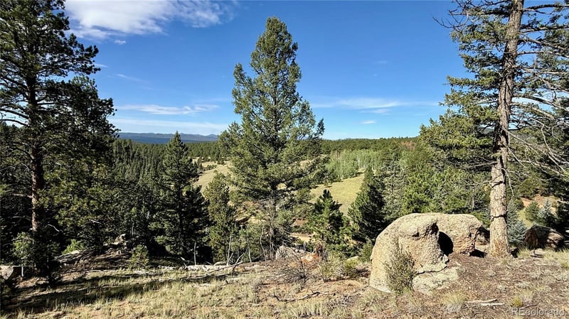 196 Beaver Creek Cir, Florissant, CO 80816