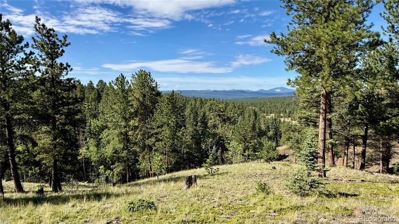 196 Beaver Creek Cir, Florissant, CO 80816