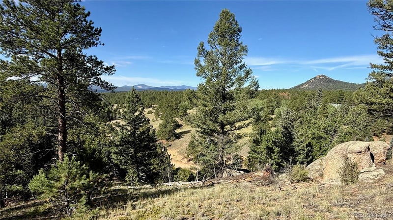 196 Beaver Creek Cir, Florissant, CO 80816