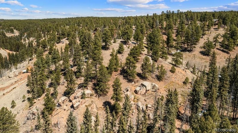 196 Beaver Creek Cir, Florissant, CO 80816