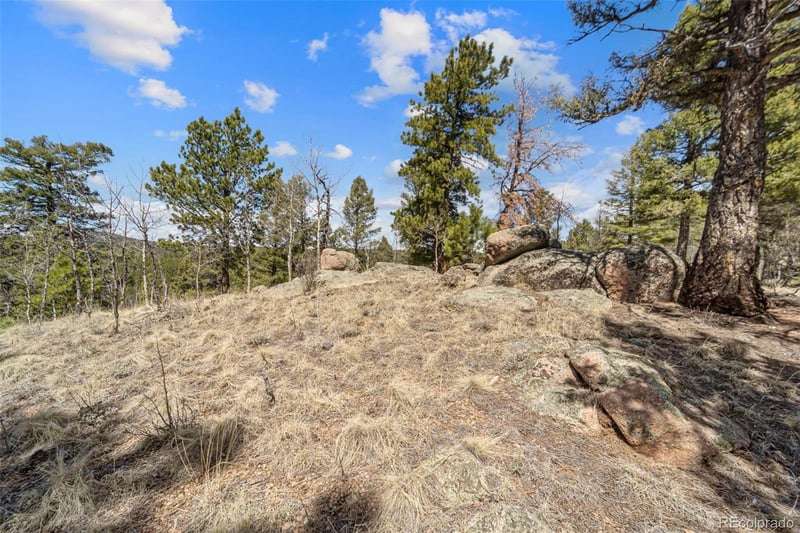 196 Beaver Creek Cir, Florissant, CO 80816