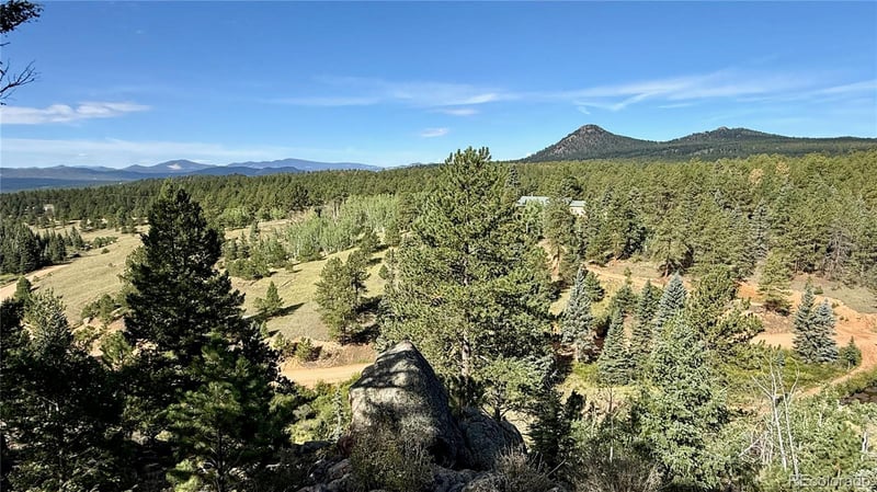 196 Beaver Creek Cir, Florissant, CO 80816