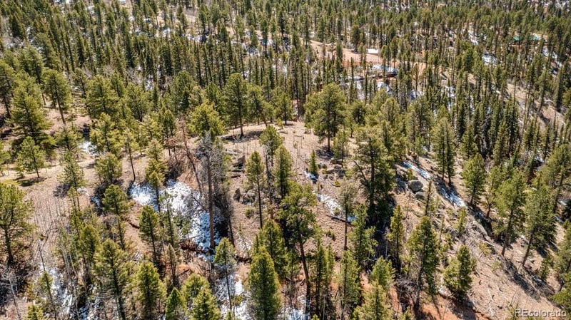196 Beaver Creek Cir, Florissant, CO 80816