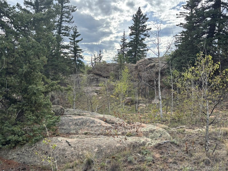 150 Ambush Ln, Jefferson, CO 80456