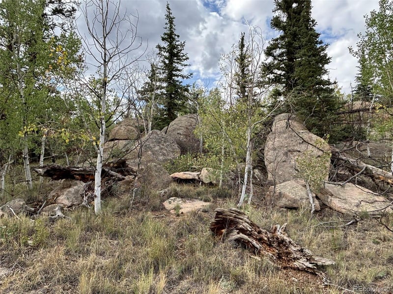 150 Ambush Ln, Jefferson, CO 80456