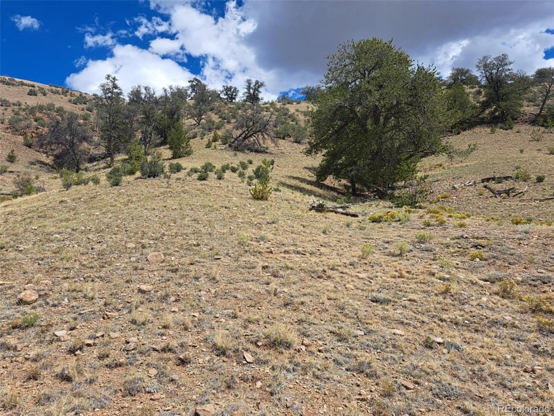 2994 Vista Grande Ct, Como, CO 80432