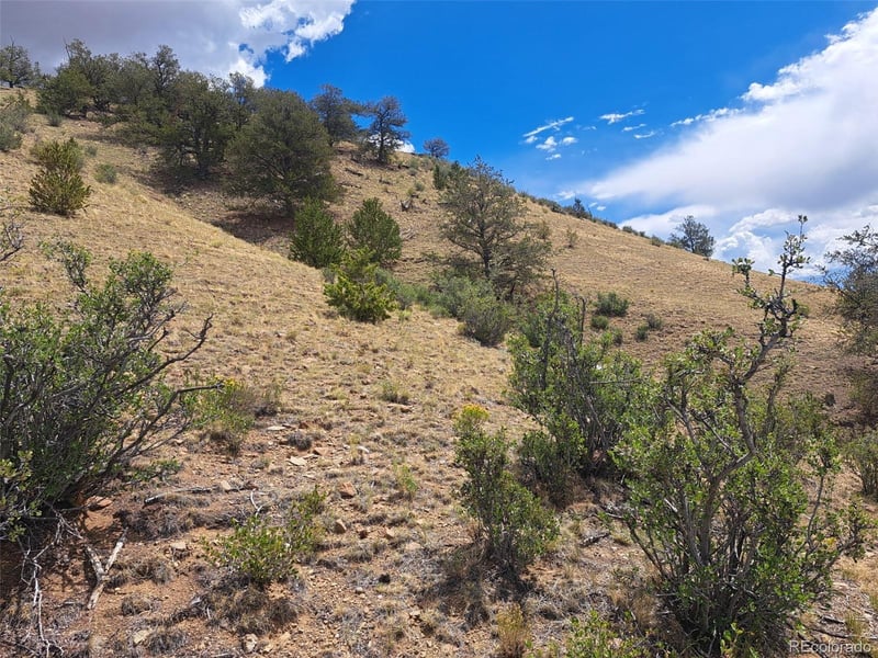 2994 Vista Grande Ct, Como, CO 80432