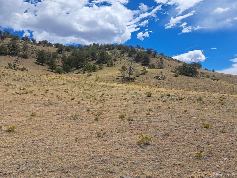 2994 Vista Grande Ct, Como, CO 80432