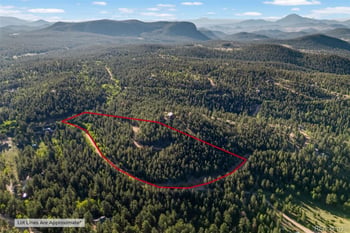 157 Saddle Horn Ln, Bailey, CO 80421