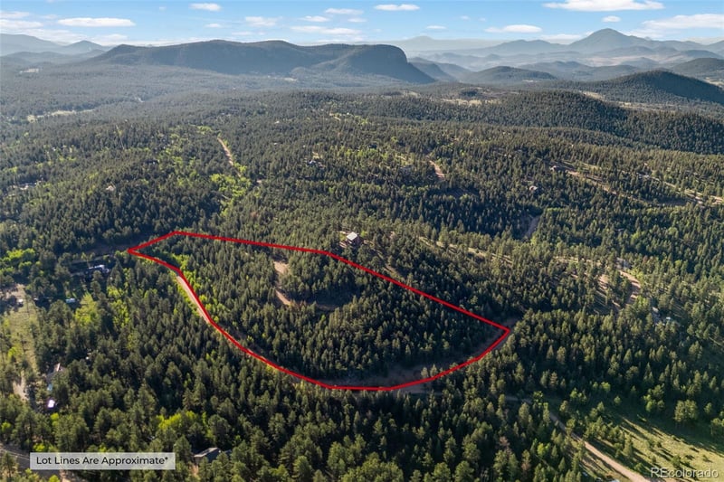 157 Saddle Horn Ln, Bailey, CO 80421