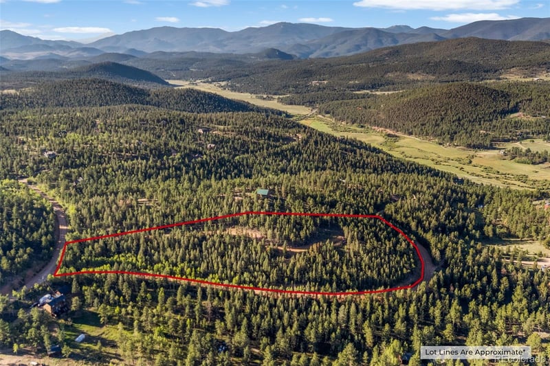 157 Saddle Horn Ln, Bailey, CO 80421