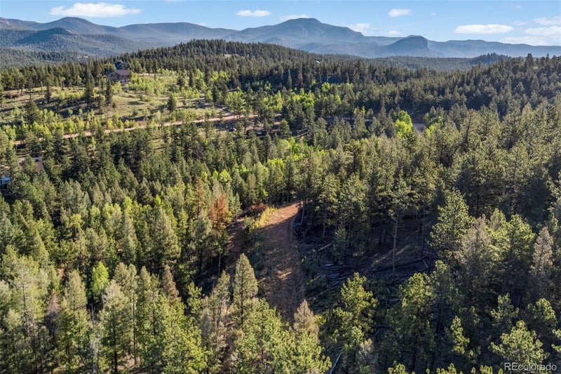 157 Saddle Horn Ln, Bailey, CO 80421