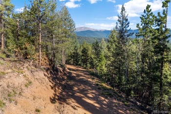157 Saddle Horn Ln, Bailey, CO 80421