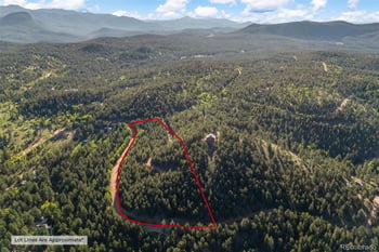157 Saddle Horn Ln, Bailey, CO 80421