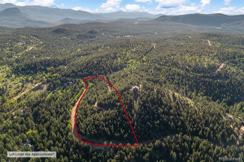 157 Saddle Horn Ln, Bailey, CO 80421