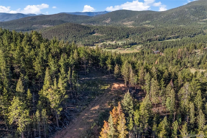 157 Saddle Horn Ln, Bailey, CO 80421