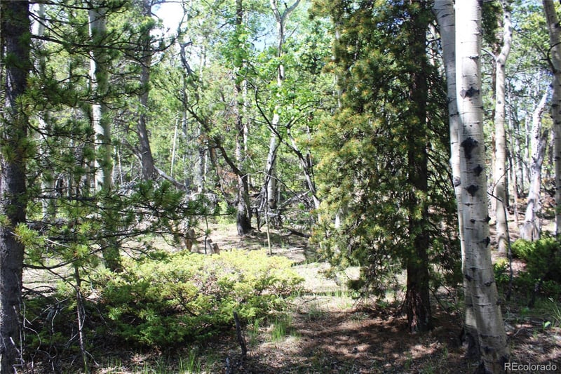 6050 Virginia Canyon Rd Lot 6050, Central City, CO 80427