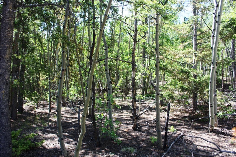 6050 Virginia Canyon Rd Lot 6050, Central City, CO 80427