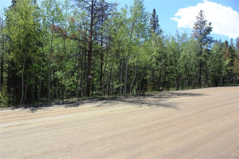 6050 Virginia Canyon Rd Lot 6050, Central City, CO 80427