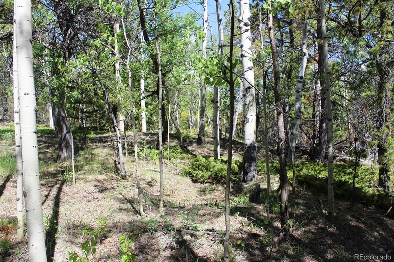 6050 Virginia Canyon Rd Lot 6050, Central City, CO 80427